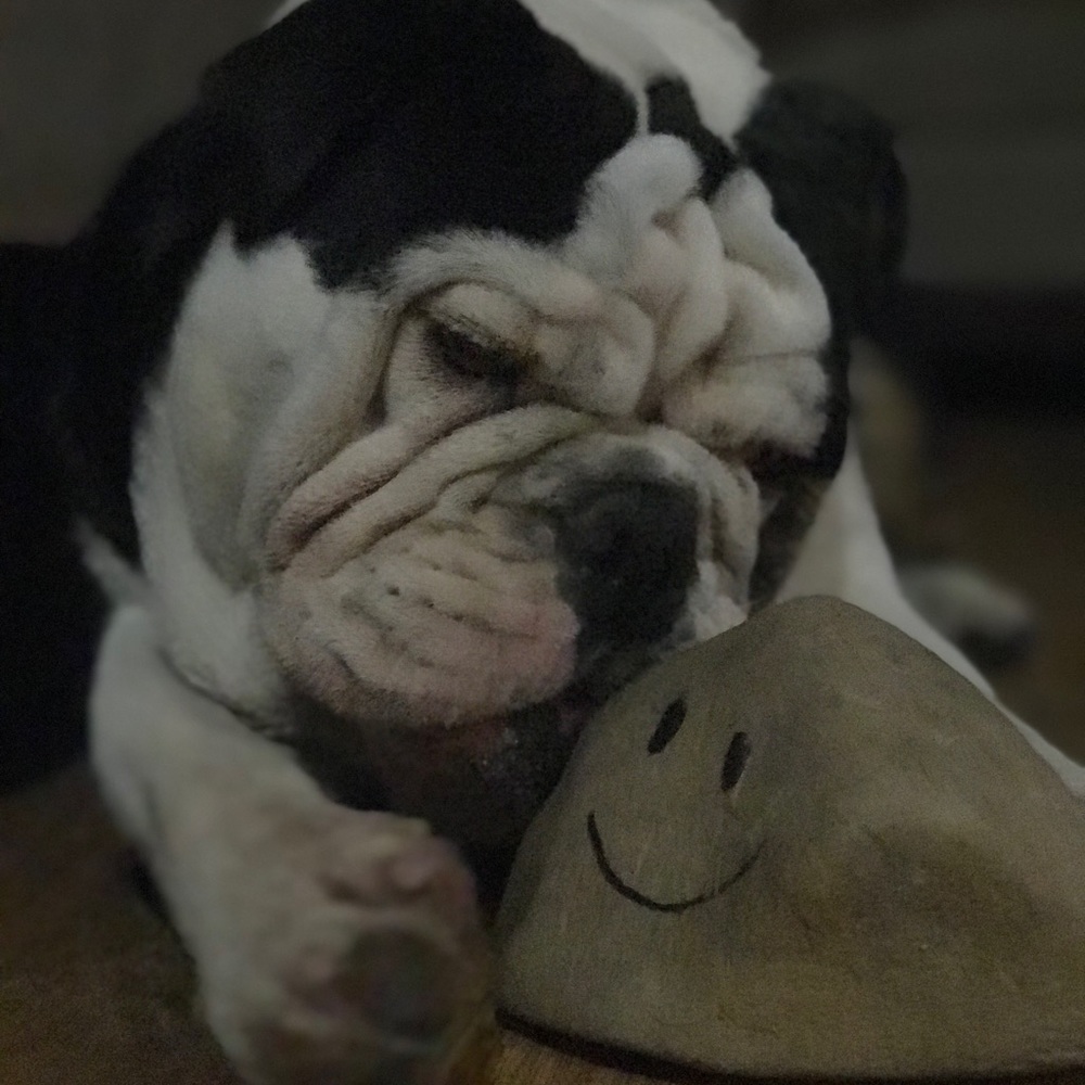 Meet your Posher, Luisa